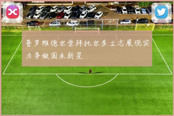 普罗维德尔崇拜托尔多立志展现实力争做国米新星