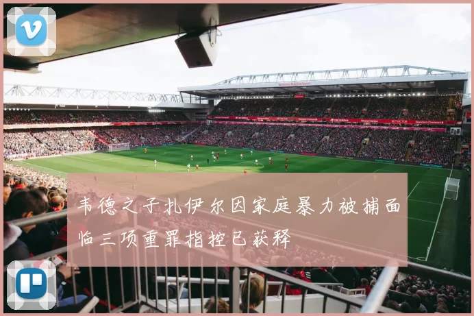韦德之子扎伊尔因家庭暴力被捕面临三项重罪指控已获释